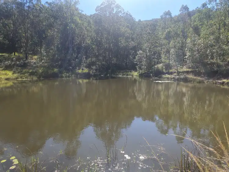 Seventh view of Homely rural property listing, Lot 2 Scrubby Creek Road, Stony Creek QLD 4514