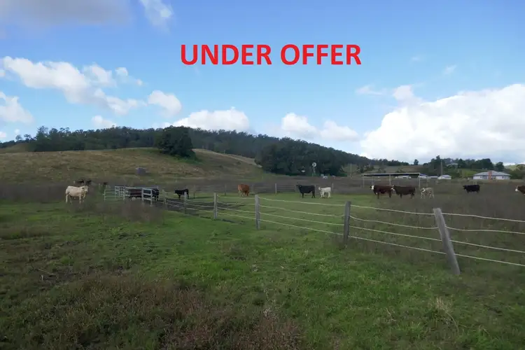 Main view of Homely rural property listing, 217 Webbs Rd, Cedar Point NSW 2474