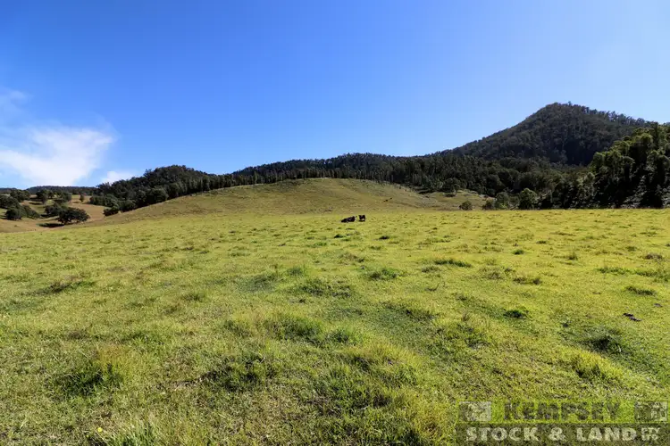 2 Lower Creek Rd, Lower Creek NSW 2440