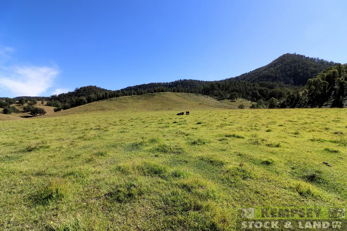 Main view of Homely rural property listing, 2 Lower Creek Rd, Lower Creek NSW 2440