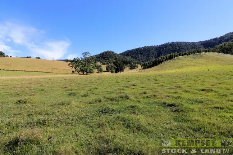 Second view of Homely rural property listing, 2 Lower Creek Rd, Lower Creek NSW 2440