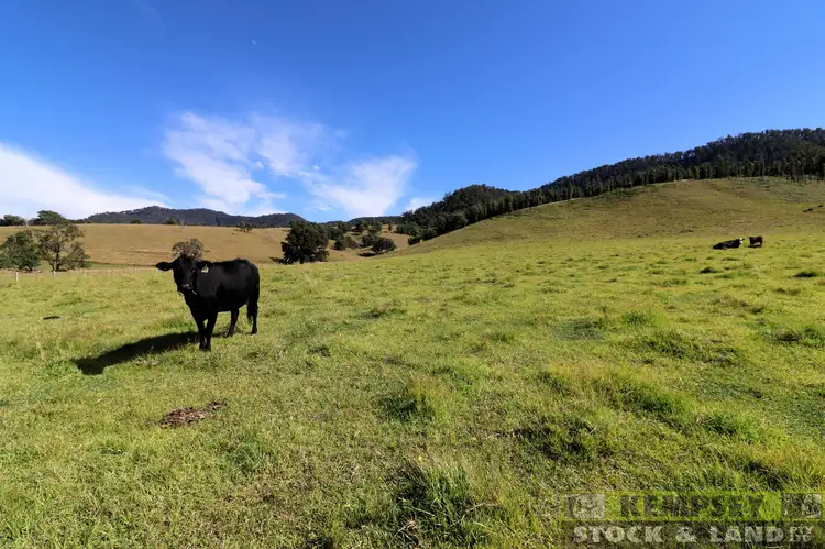 Third view of Homely rural property listing, 2 Lower Creek Rd, Lower Creek NSW 2440