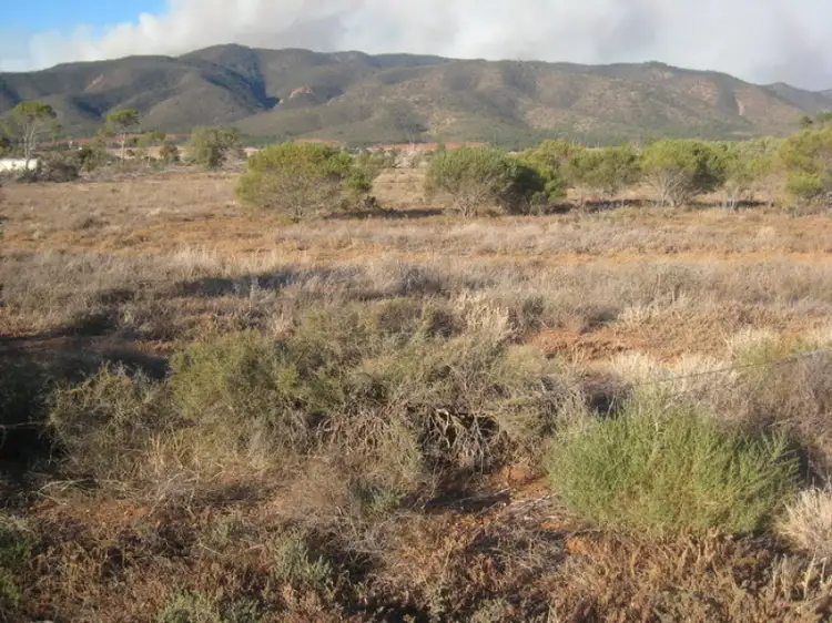 Lot 15 Blight Road, Napperby SA 5540