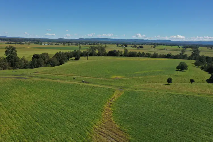 Main view of Homely rural property listing, 230 Humphreys Rd, Fairy Hill NSW 2470