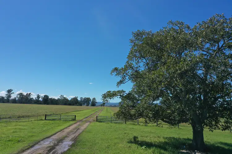 Second view of Homely rural property listing, 230 Humphreys Rd, Fairy Hill NSW 2470