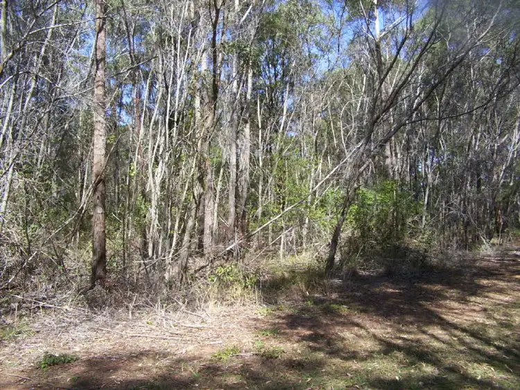 Main view of Homely land listing, 20 CANNES AVE, Russell Island QLD 4184