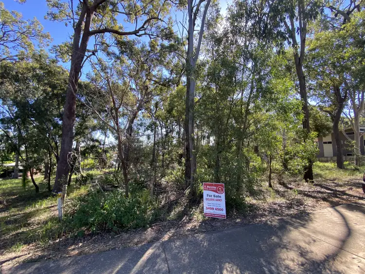 175 Kate St, Macleay Island QLD 4184