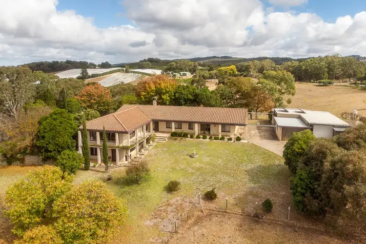 Main view of Homely rural property listing, 596 Tiers Rd, Lenswood SA 5240