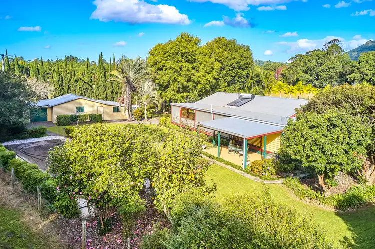 Main view of Homely rural property listing, 554 The Pocket Rd, The Pocket NSW 2483
