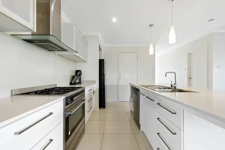 Second view of Homely house listing, 11 Tibouchina St, Mountain Creek QLD 4557