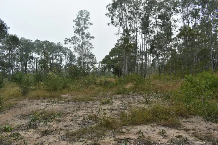 Fourth view of Homely rural property listing, Glenbar Road, Aramara QLD 4620