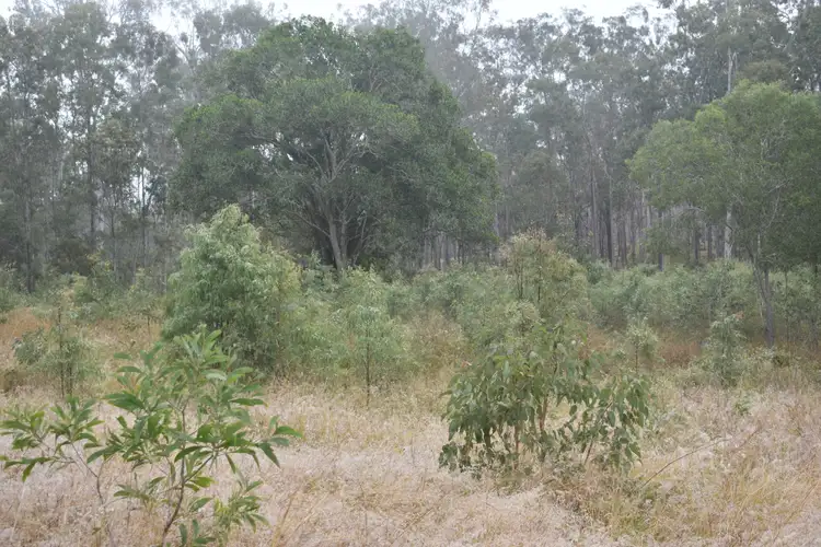 Fifth view of Homely rural property listing, Glenbar Road, Aramara QLD 4620