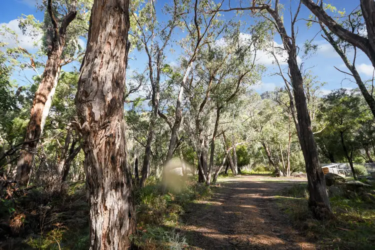 Seventh view of Homely land listing, Lot 1 Silver Springs Road, Halls Gap VIC 3381