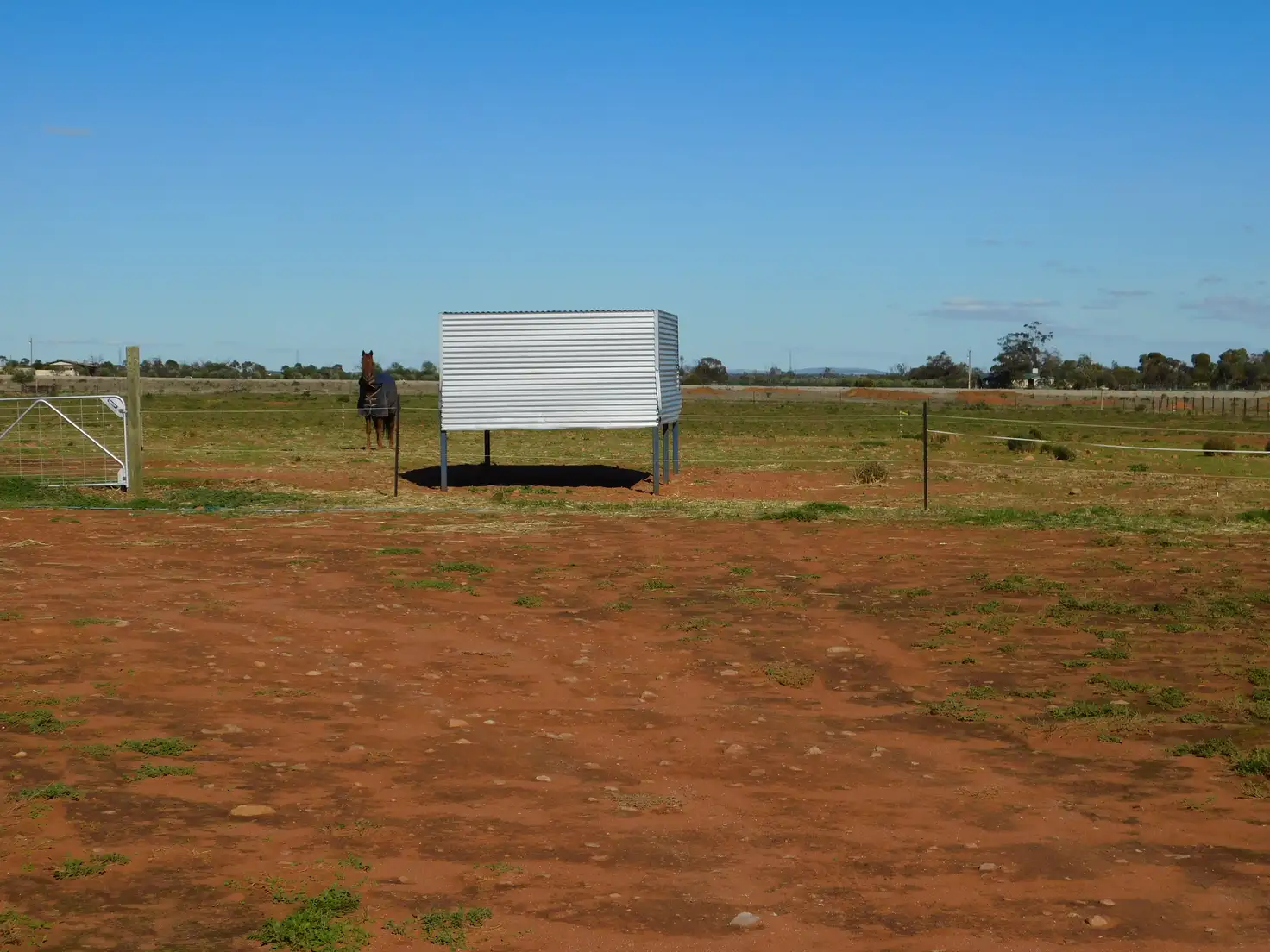 Main view of Homely land listing, Section 238 Olive Grove Road, Napperby SA 5540