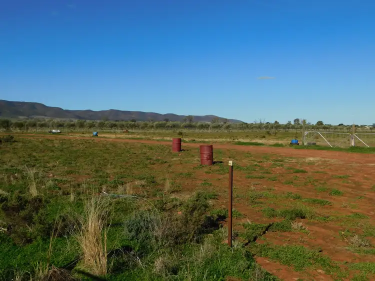 Second view of Homely land listing, Section 238 Olive Grove Road, Napperby SA 5540