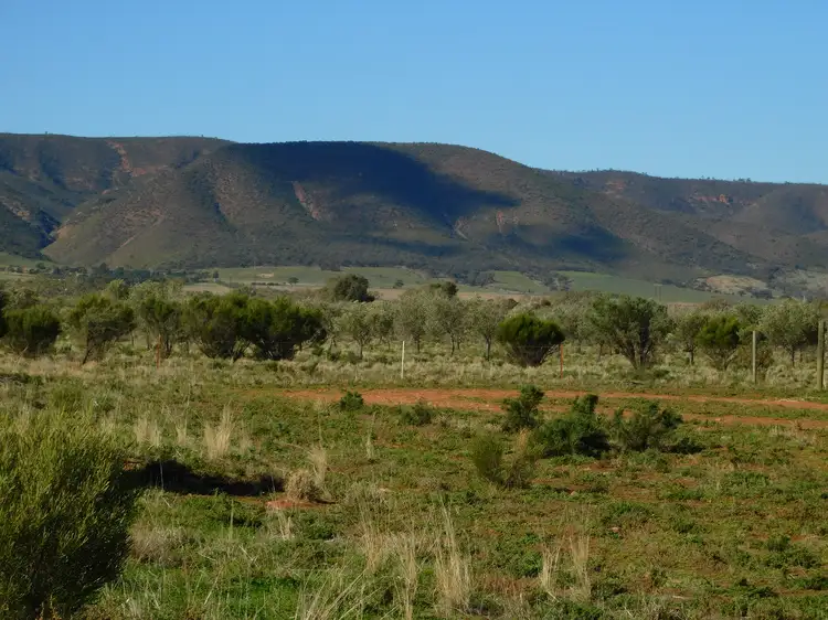 Third view of Homely land listing, Section 238 Olive Grove Road, Napperby SA 5540