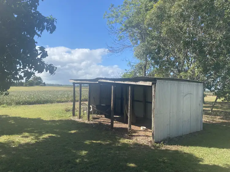 Sixth view of Homely rural property listing, 353 Woongool Rd, Tinana QLD 4650