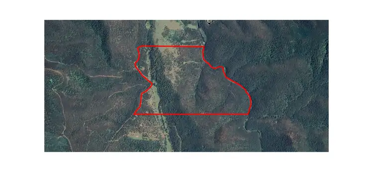 Third view of Homely rural property listing, 176 Hunter Lane, Buchan VIC 3885