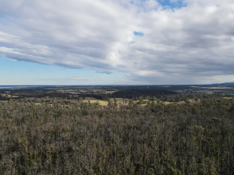 Second view of Homely rural property listing, 529 Waddells Road, Sarsfield VIC 3875