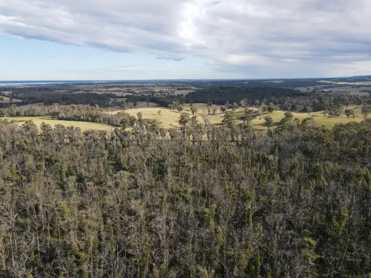 Third view of Homely rural property listing, 529 Waddells Road, Sarsfield VIC 3875