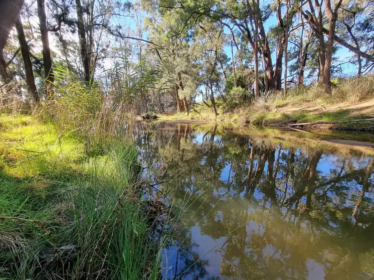 Main view of Homely rural property listing, 391 Cope Rd, Gulgong NSW 2852