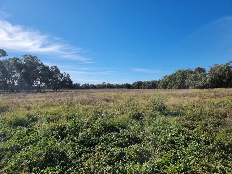 Second view of Homely rural property listing, 391 Cope Rd, Gulgong NSW 2852