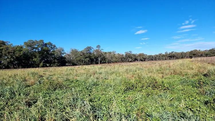 Third view of Homely rural property listing, 391 Cope Rd, Gulgong NSW 2852