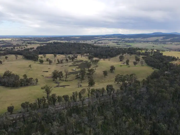 Third view of Homely rural property listing, 565 Waddells Rd, Sarsfield VIC 3875