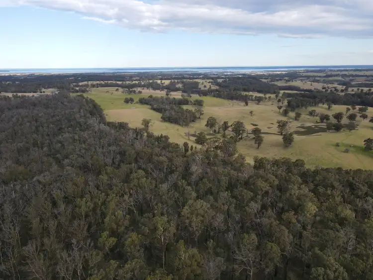 Seventh view of Homely rural property listing, 565 Waddells Rd, Sarsfield VIC 3875