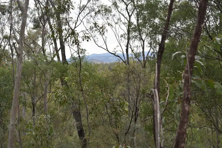 Fifth view of Homely rural property listing, Glenbar Rd, Glenbar QLD 4620