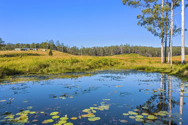 Fourth view of Homely house listing, 436 Maras Creek Road, Utungun NSW 2447