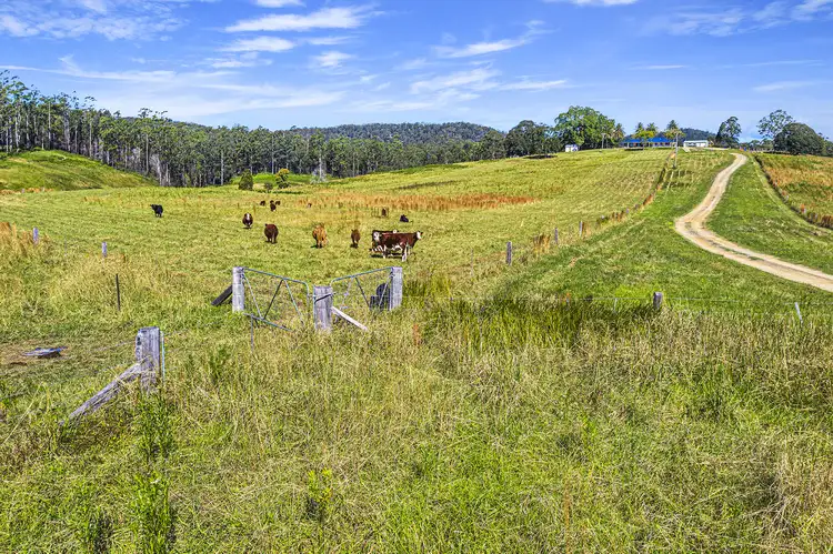 Fifth view of Homely house listing, 436 Maras Creek Road, Utungun NSW 2447