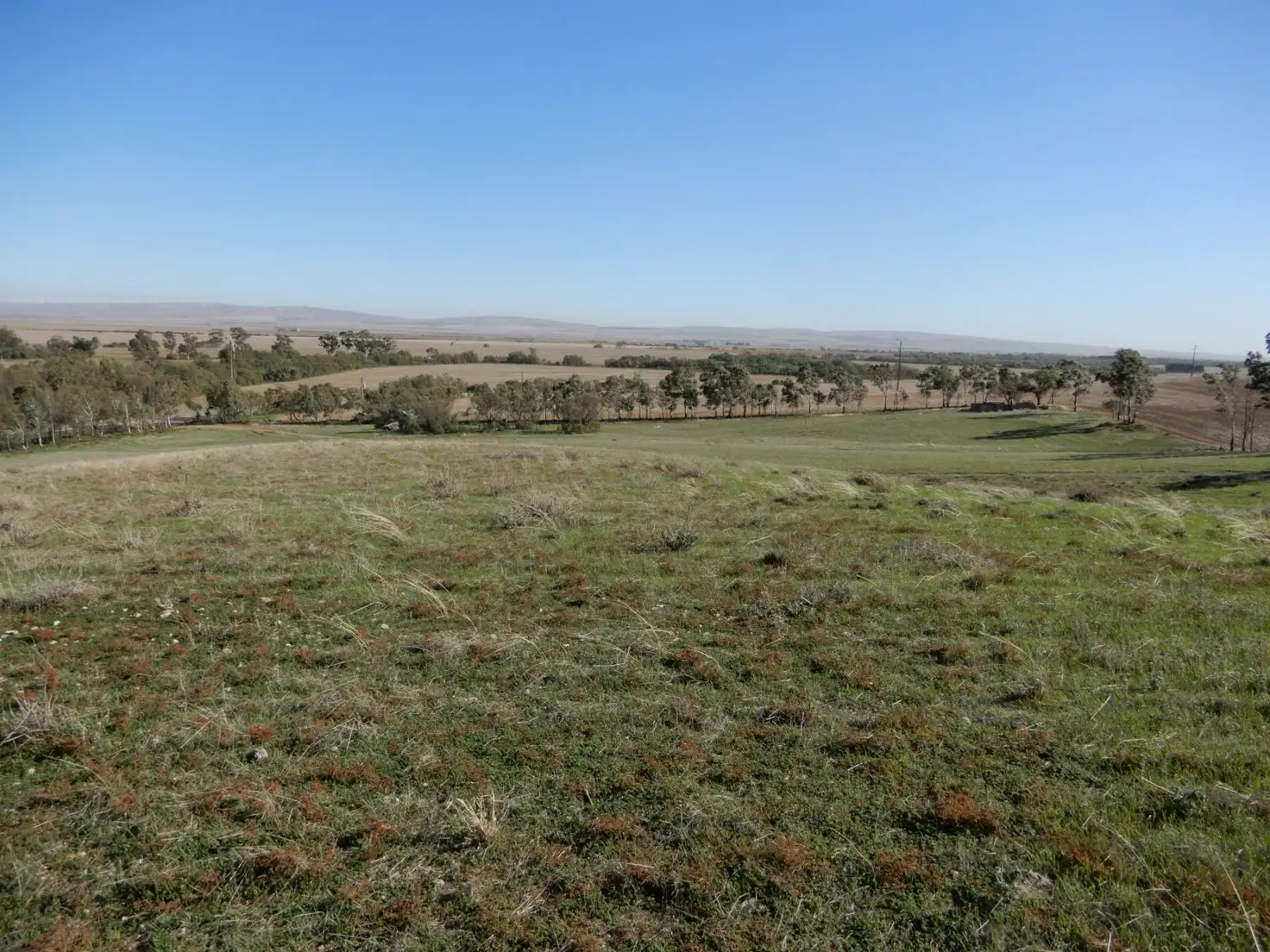 Main view of Homely land listing, Section 356 Main Road, Koolunga SA 5464
