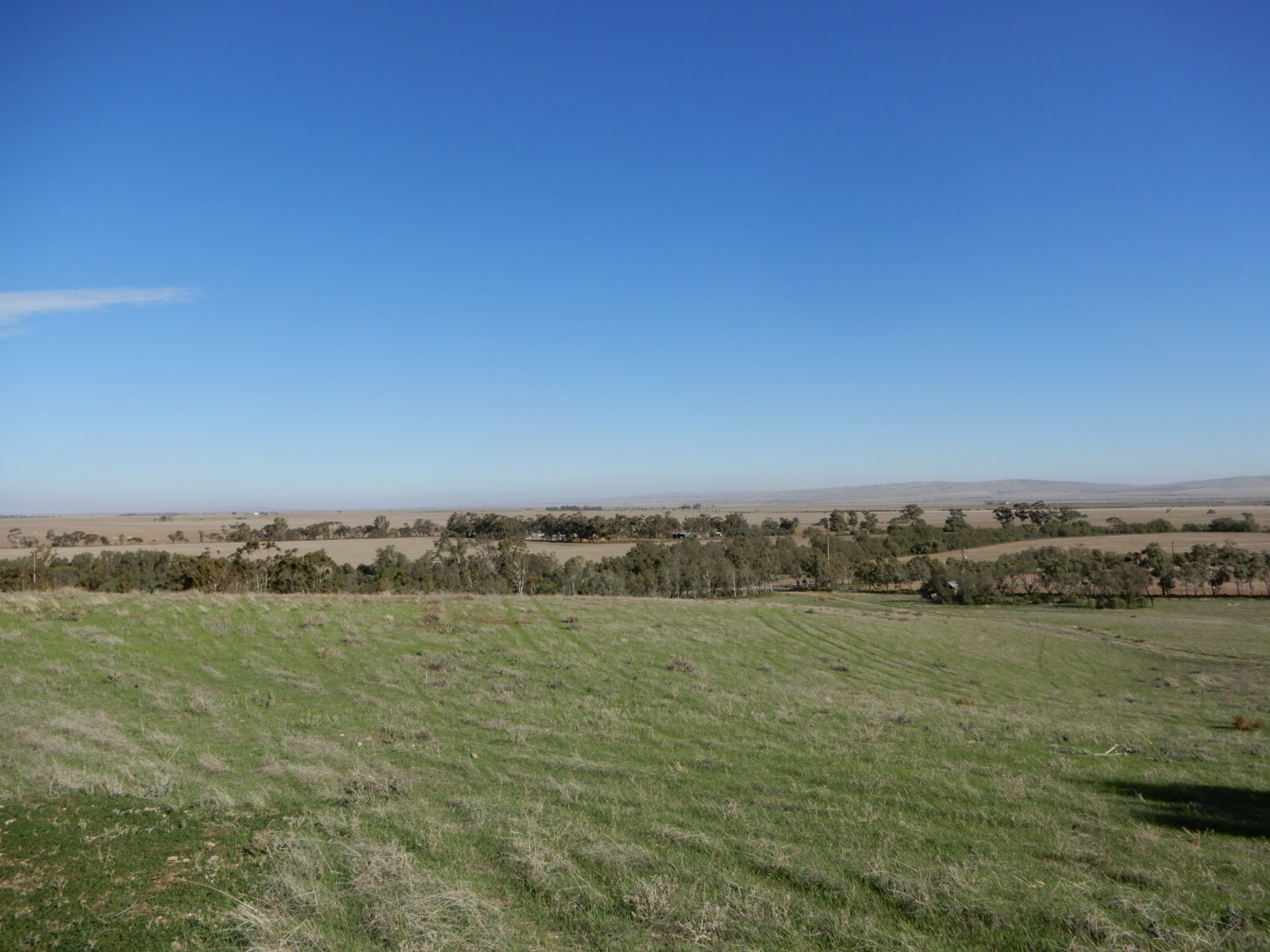 Third view of Homely land listing, Section 356 Main Road, Koolunga SA 5464
