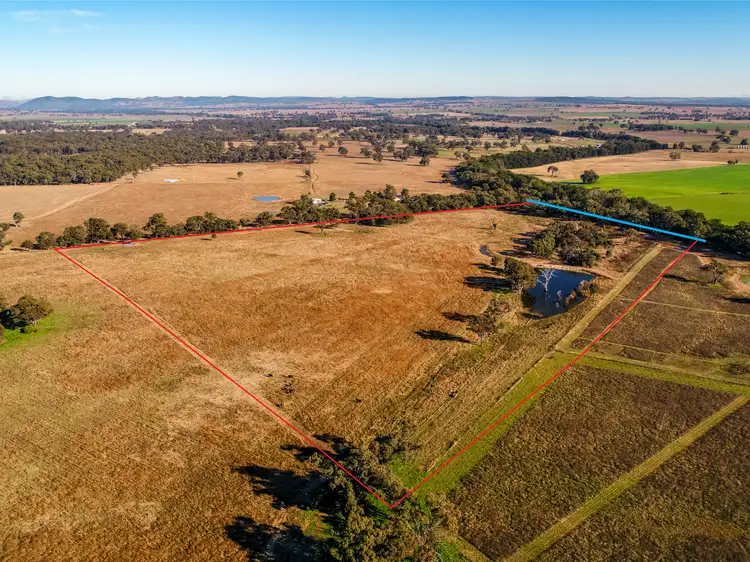 Main view of Homely rural property listing, 200//391 Cope Rd, Gulgong NSW 2852