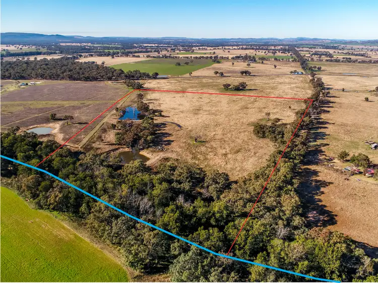Second view of Homely rural property listing, 200//391 Cope Rd, Gulgong NSW 2852