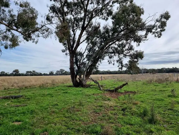Seventh view of Homely rural property listing, 200//391 Cope Rd, Gulgong NSW 2852