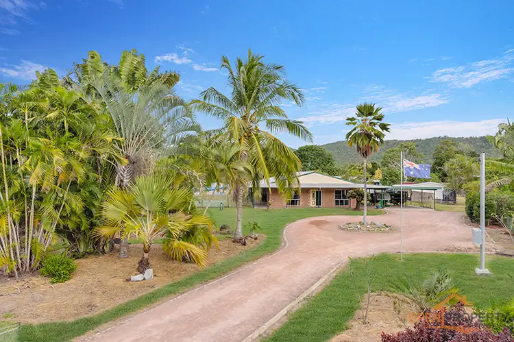 Second view of Homely house listing, 14 Yarran Ct, Nome QLD 4816