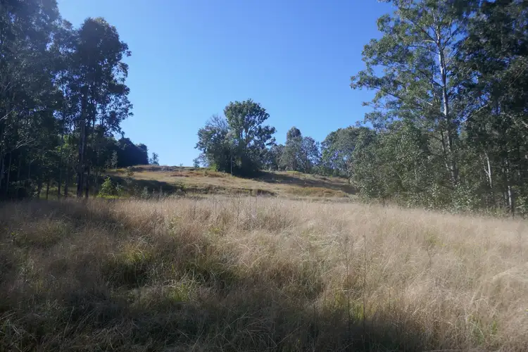 Third view of Homely rural property listing, 489 Blackwood Lane, Boomi Creek NSW 2476