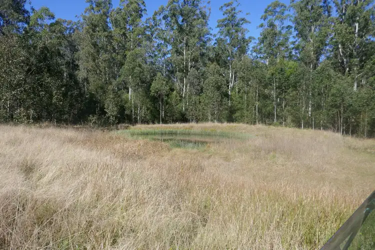 Fourth view of Homely rural property listing, 489 Blackwood Lane, Boomi Creek NSW 2476