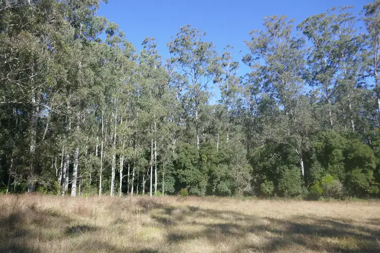 Fifth view of Homely rural property listing, 489 Blackwood Lane, Boomi Creek NSW 2476