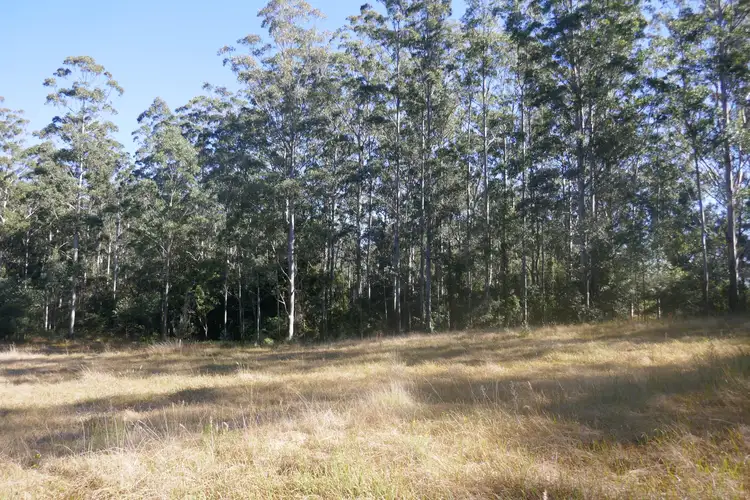 Sixth view of Homely rural property listing, 489 Blackwood Lane, Boomi Creek NSW 2476