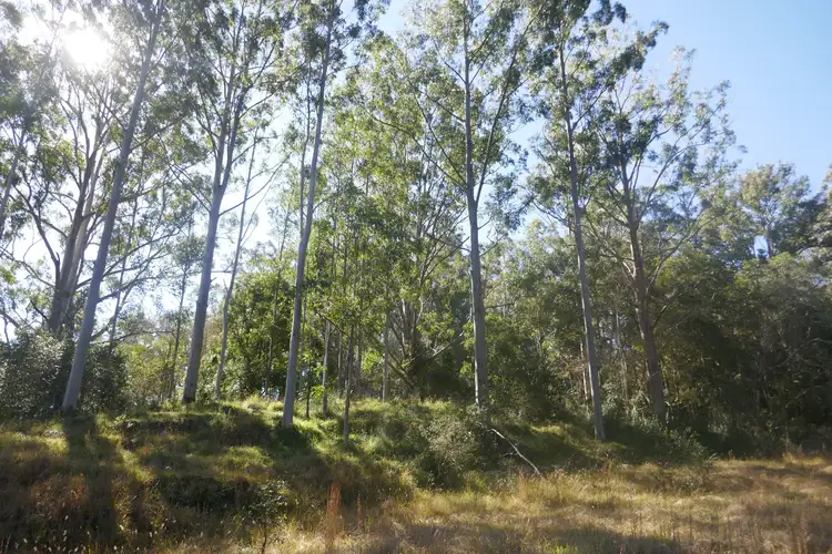 Seventh view of Homely rural property listing, 489 Blackwood Lane, Boomi Creek NSW 2476