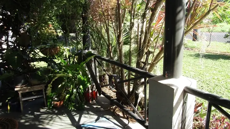 Third view of Homely house listing, 8 Casuarina Cres, Mission Beach QLD 4852
