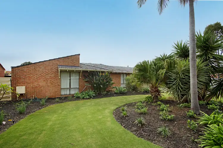 17 Aberfoyle Pl, Hamersley WA 6022