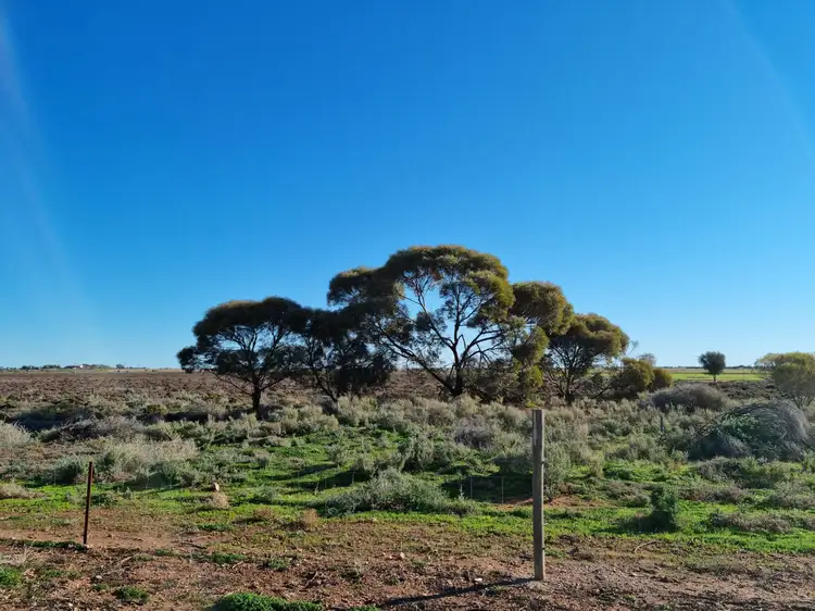 Fifth view of Homely land listing, 15 Pirie Blocks Road, Bungama SA 5540
