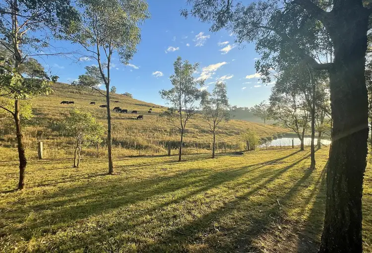 Sixth view of Homely house listing, 25 The Ironbarks, Picton NSW 2571