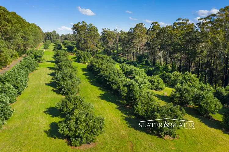 Second view of Homely rural property listing, 63 Baileys Road, Telegraph Point NSW 2441