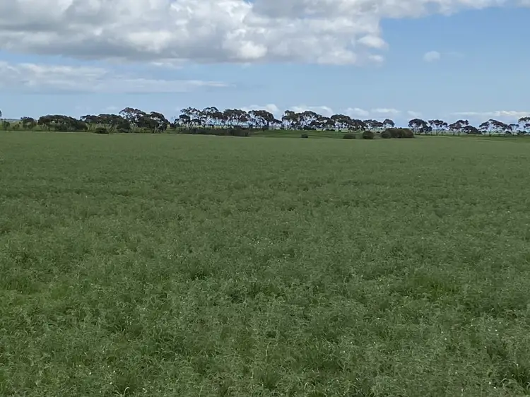 Fourth view of Homely rural property listing, * Mundoora Boundary Rd, Mundoora SA 5555
