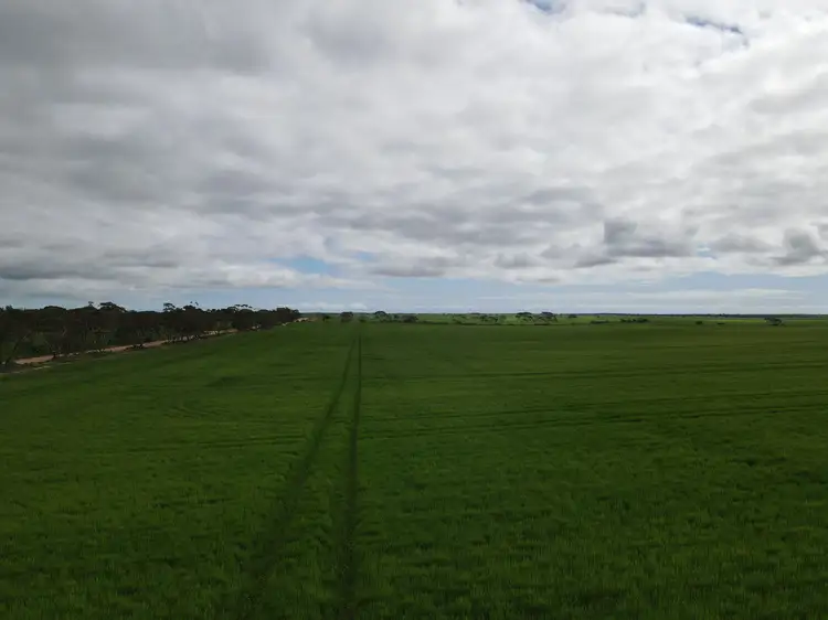 Fifth view of Homely rural property listing, * Mundoora Boundary Rd, Mundoora SA 5555